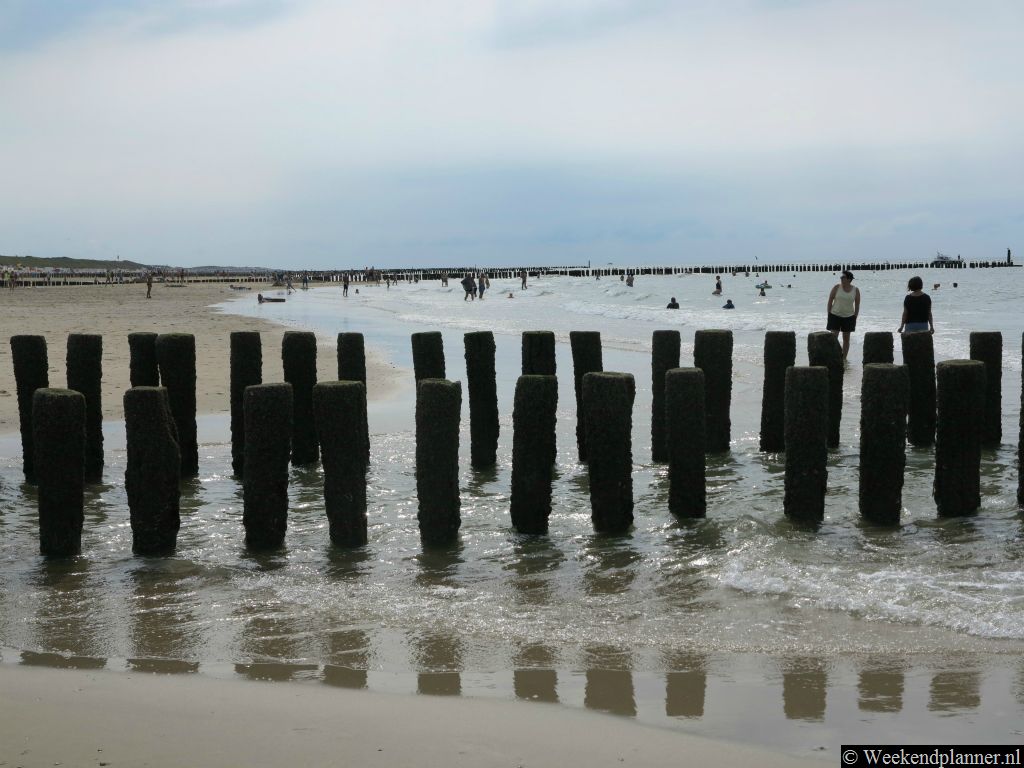 De golven bij het strand van Domburg zijn relatief hoog. Vandaar dat golfsurfers uit heel Nederland hier komen surfen. Op het strand van Domburg spoelen zee-egeltjes en haaientanden aan.Tips: Fossielen en haaientanden zoeken in Domburg.